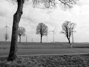 Bare trees on field against sky