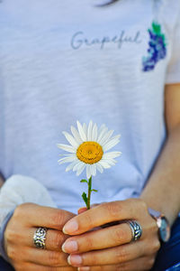 Hands of a woman holding a daisy flower. 