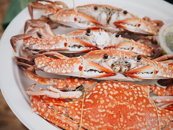 High angle view of fish in plate