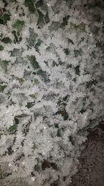 Full frame shot of snow covered land