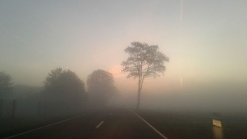 Road by trees against sky during foggy weather