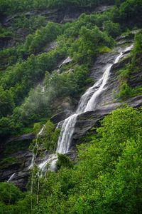 Scenic view of waterfall in forest