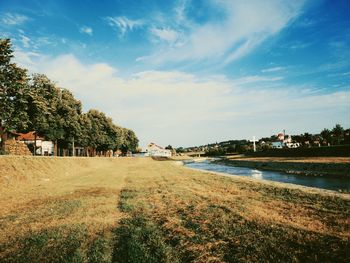 Scenic view of trees by buildings against sky