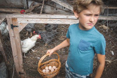 Boy holding eggs in basket at farm