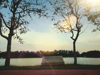 Bare tree by swimming pool against lake during sunset