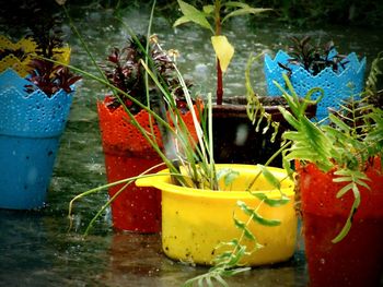 Close-up of yellow water