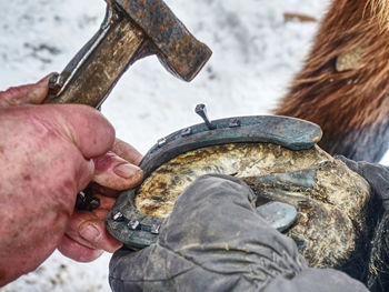 Farrier holding horse hoof and nailing new horse shoe. farm life care and routine.