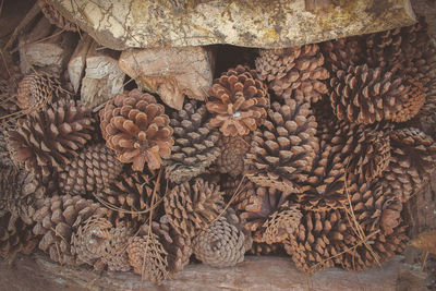 Full frame shot of firewood