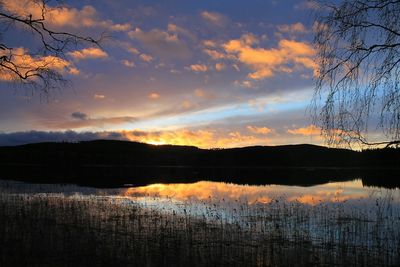 Reflection of trees in calm lake