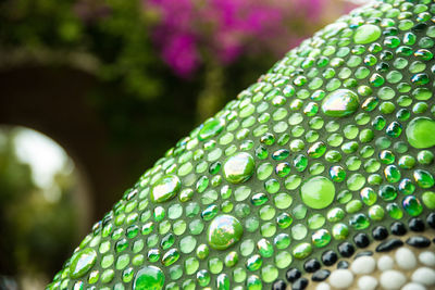 Close-up of wet leaf