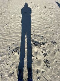 Low section of person standing on beach