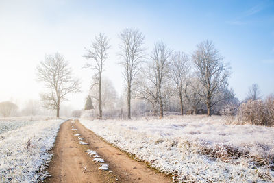 A beautiful scenery of a gravel road in the late autumn with first snow. northern europe landscape.