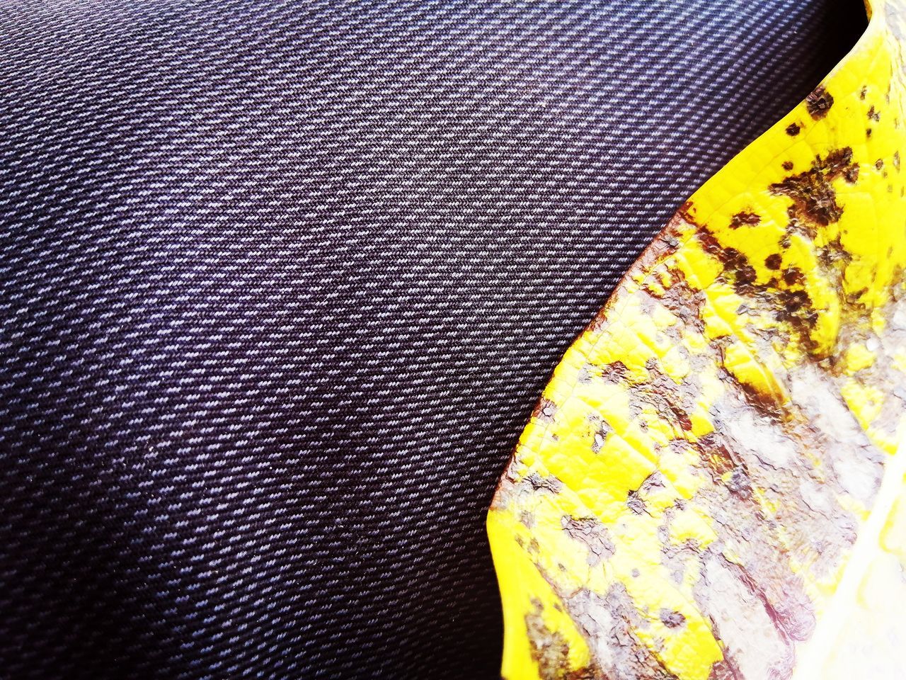 FULL FRAME SHOT OF YELLOW FRUIT ON TABLE AGAINST WALL