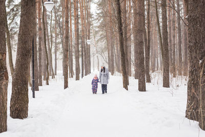 Rear view of people on snow covered land