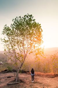 Rear view of man standing by tree against sky during sunset