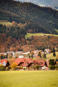 High angle view of trees and houses