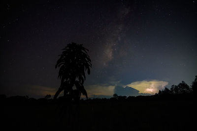 Low angle view of silhouette trees against sky at night