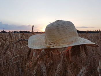 Rear view of hat on field against sky during sunset