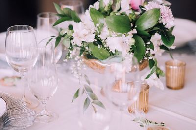 Close-up of potted plant on table