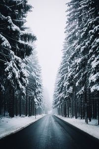 Empty road amidst snow covered trees