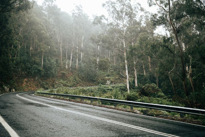 Road amidst trees in forest