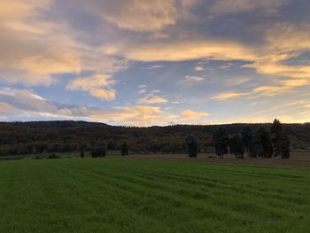 Scenic view of field against sky during sunset