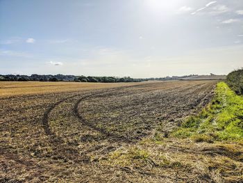 Scenic view of agricultural field against sky