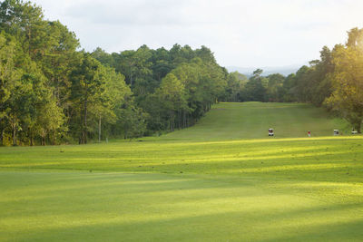 Scenic view of golf course against sky