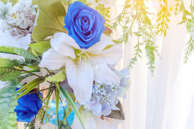 Close-up of white rose against blue sky