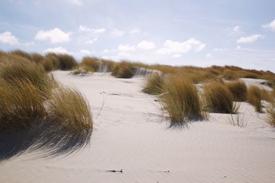 Scenic view of beach against sky during winter