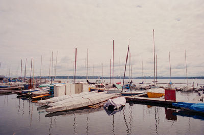 Sailboats moored in harbor