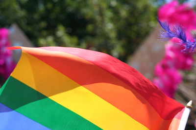 Close-up of multi colored umbrella