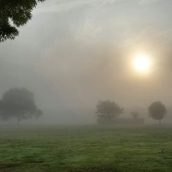 Scenic view of landscape against sky