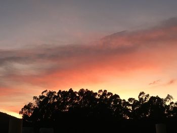 Low angle view of silhouette trees against dramatic sky