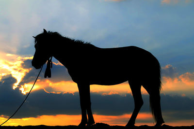 Silhouette of horse against sky during sunset