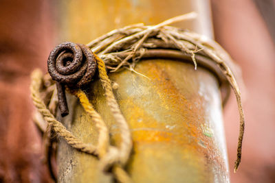 Close-up of rope tied