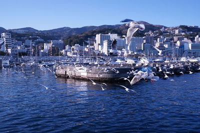 Aerial view of city at waterfront