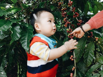 Children picking berries growing on plants