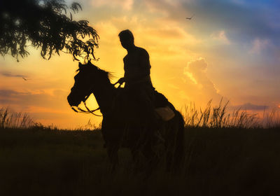 Silhouette person riding horse on field during sunset
