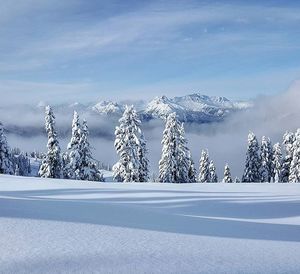 Scenic view of snow covered mountains