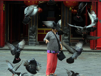 Woman feeding birds