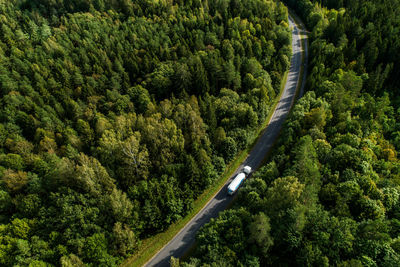 High angle view of road amidst trees in forest