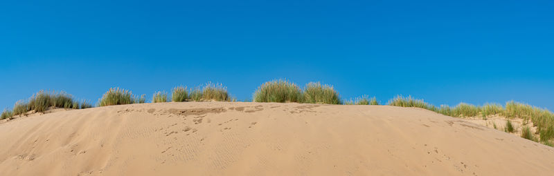 land