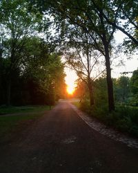 Road amidst trees in forest against sky