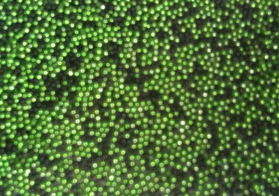 Full frame shot of abstract background