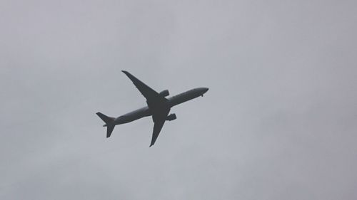 Low angle view of bird flying in sky