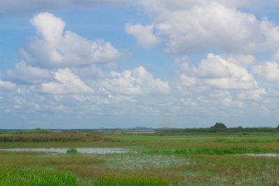 Scenic view of field against sky