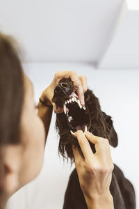 Midsection of woman holding dog