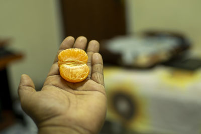 Close-up of hand holding fruit