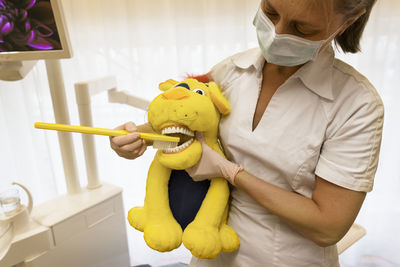 Dentist holding toy with teeth model